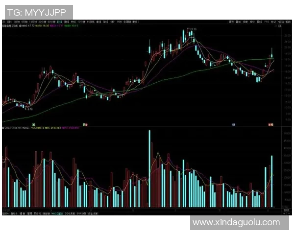 中国与委内瑞拉篮球比赛分析大小分走势及预测策略探讨